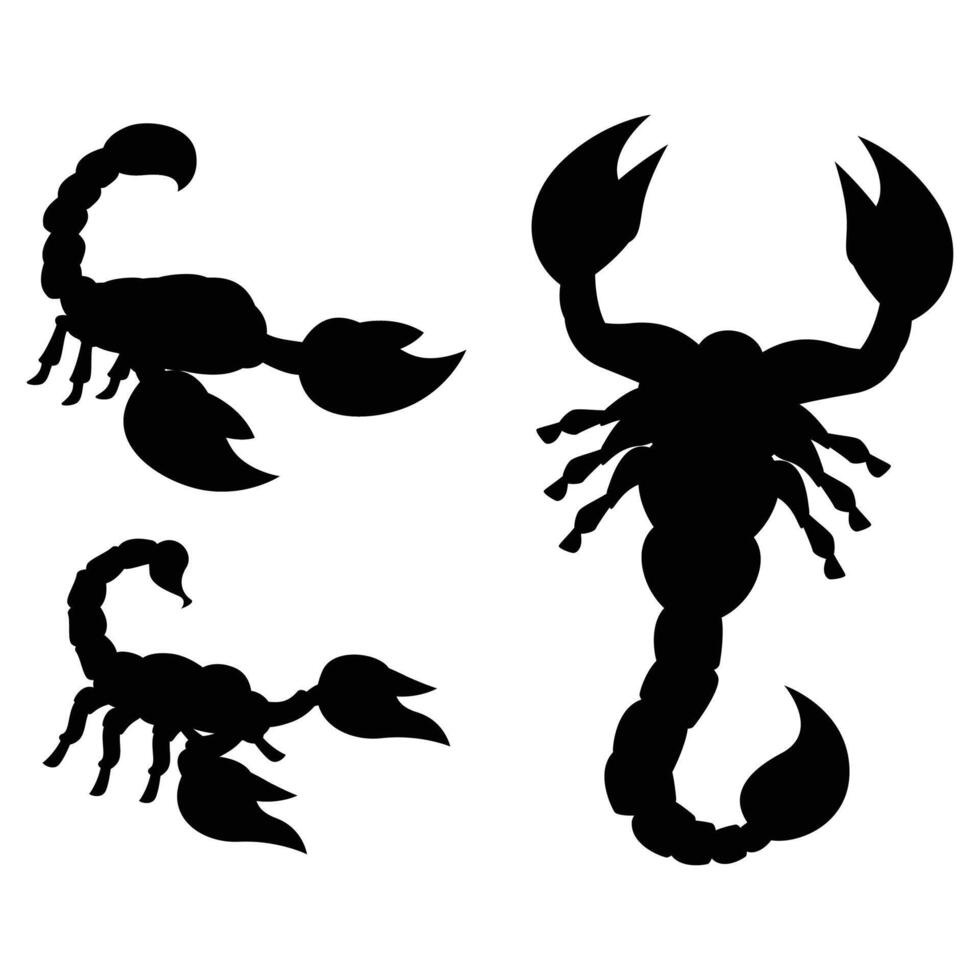 Scorpion Silhouette on a white Background vector