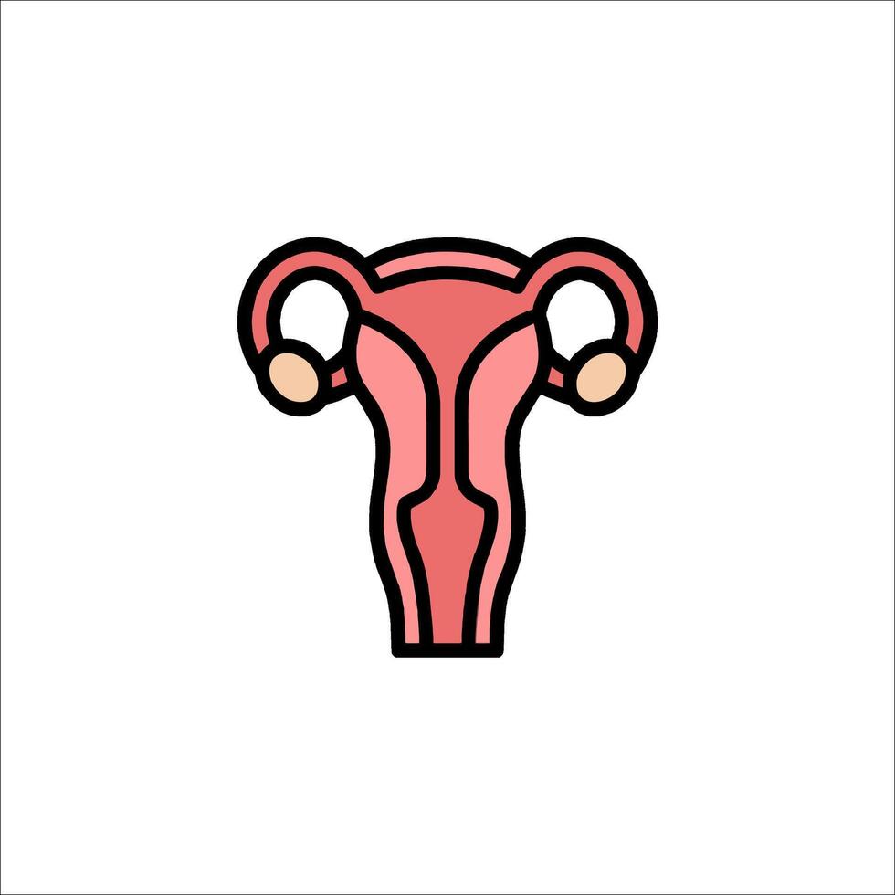 The uterus icon is shown on a white background vector