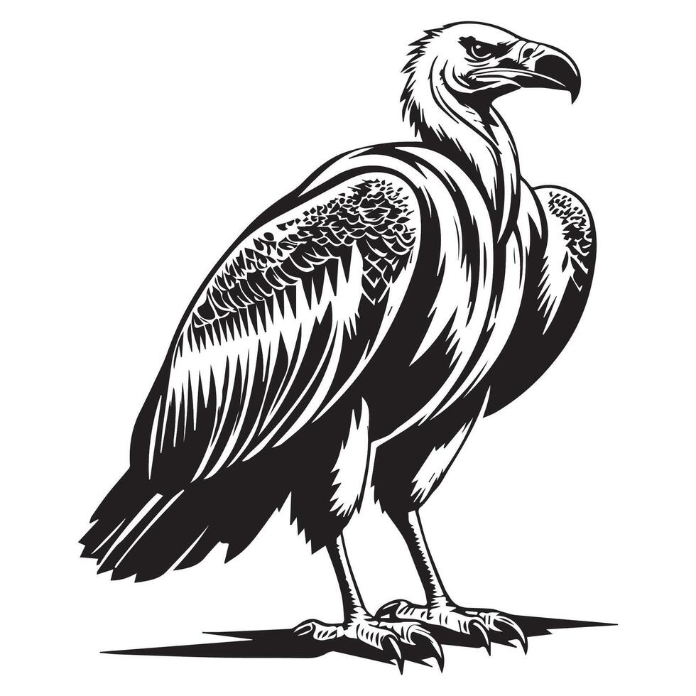 Black and white illustration of a vulture vector