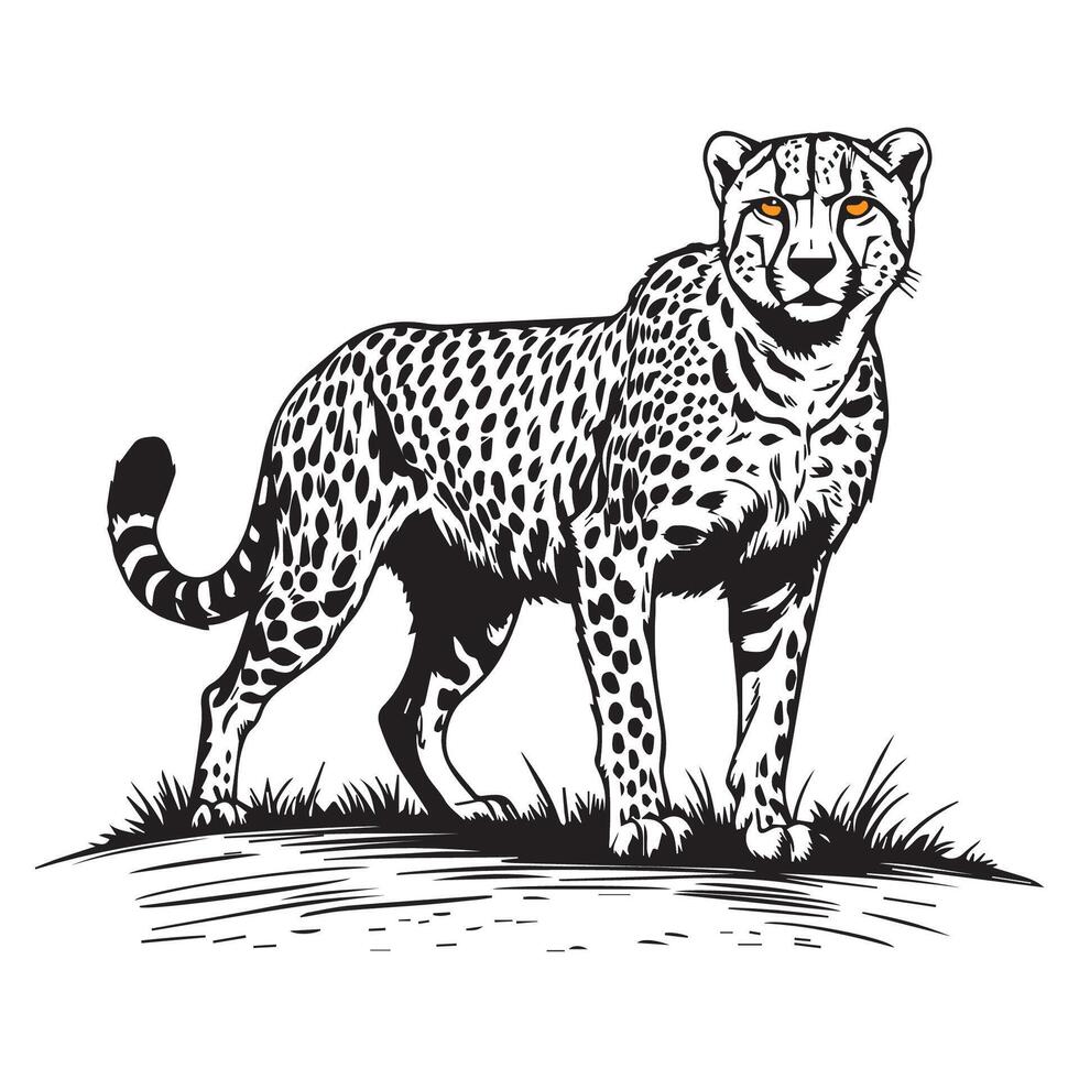 Black and white illustration of a cheetah vector