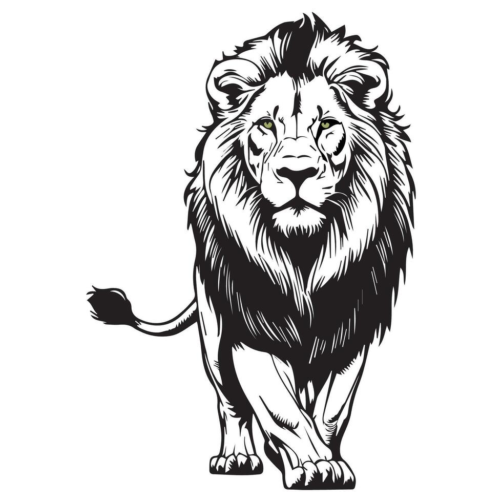 Black and white illustration of a lion vector