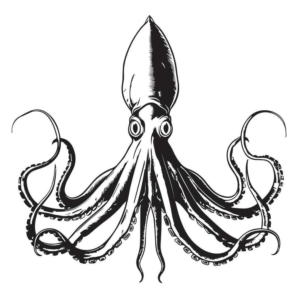 Black and white illustration of a wild squid vector