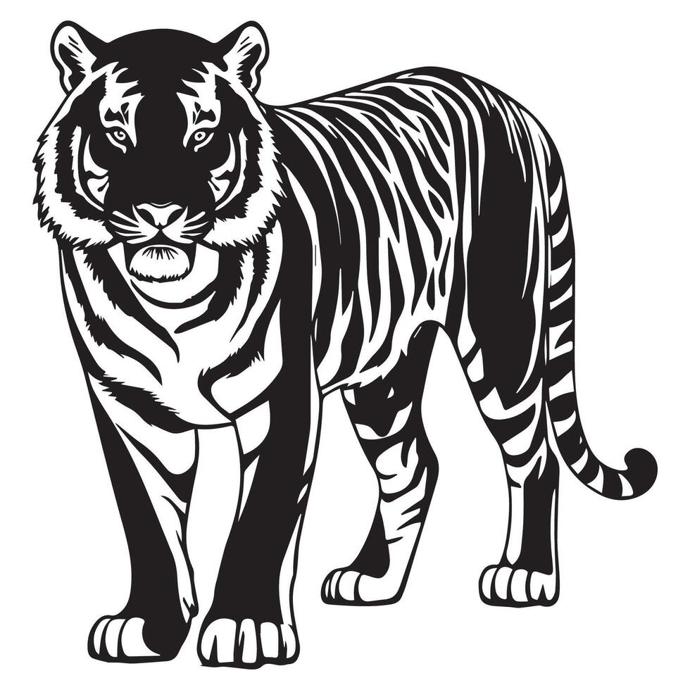 Black and white illustration of a tiger vector