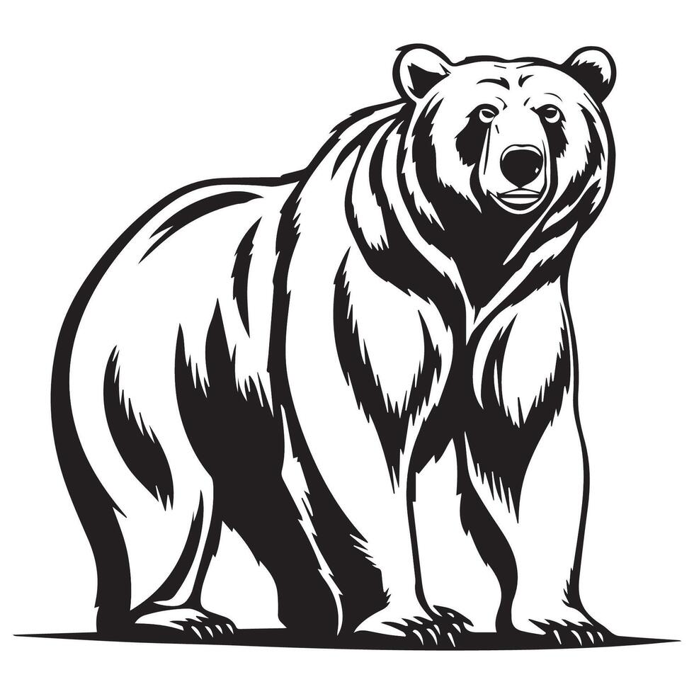 Black and white illustration of a wild bear vector