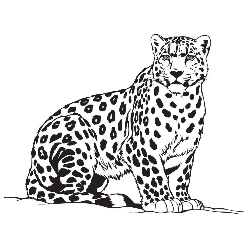 Black and white illustration of a wild snow leopard vector
