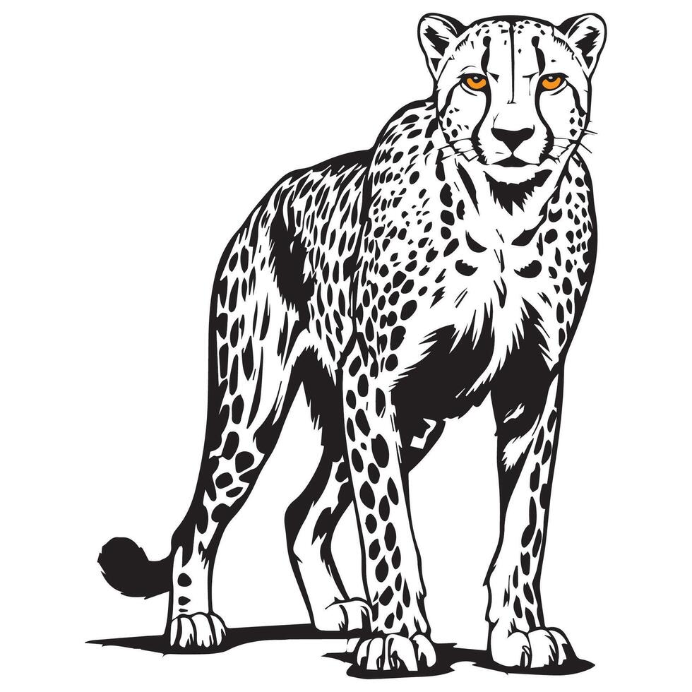 Black and white illustration of a wild cheetah vector