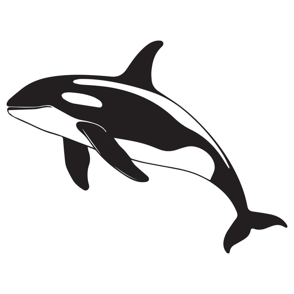Black and white illustration of a wild orca vector