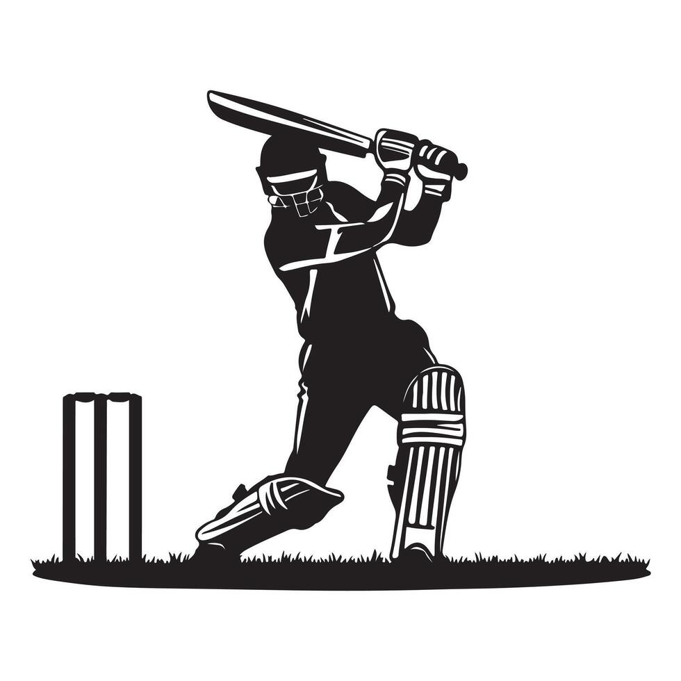 Cricket players in action vector