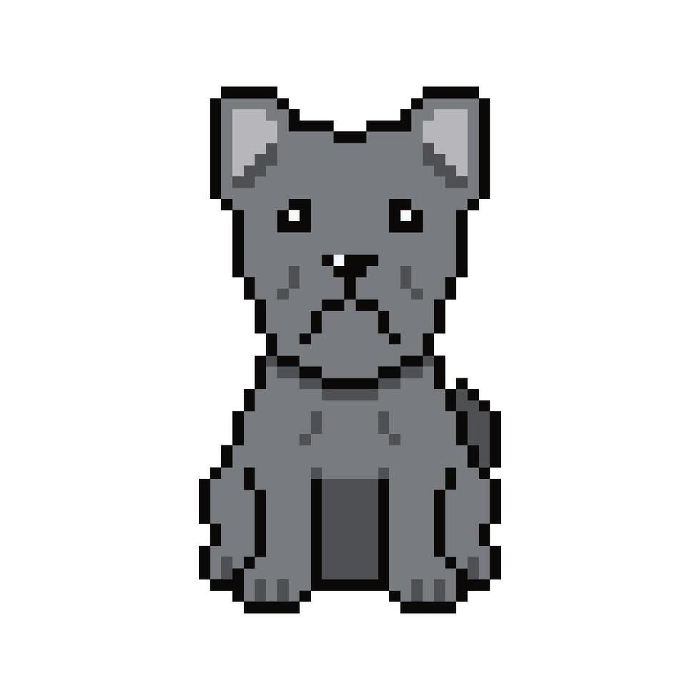 Pixel art cute cane corso dog in retro style vector