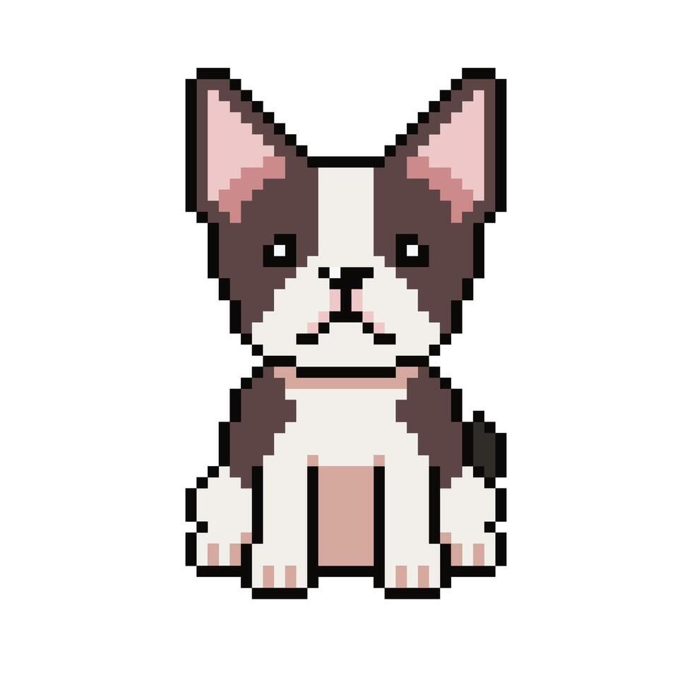 Pixel art cute boston terrier dog in retro style vector