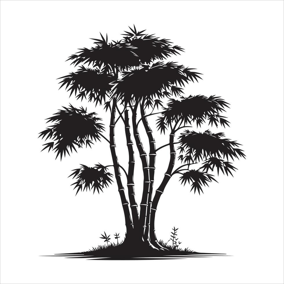 Bamboo tree silhouette white background vector