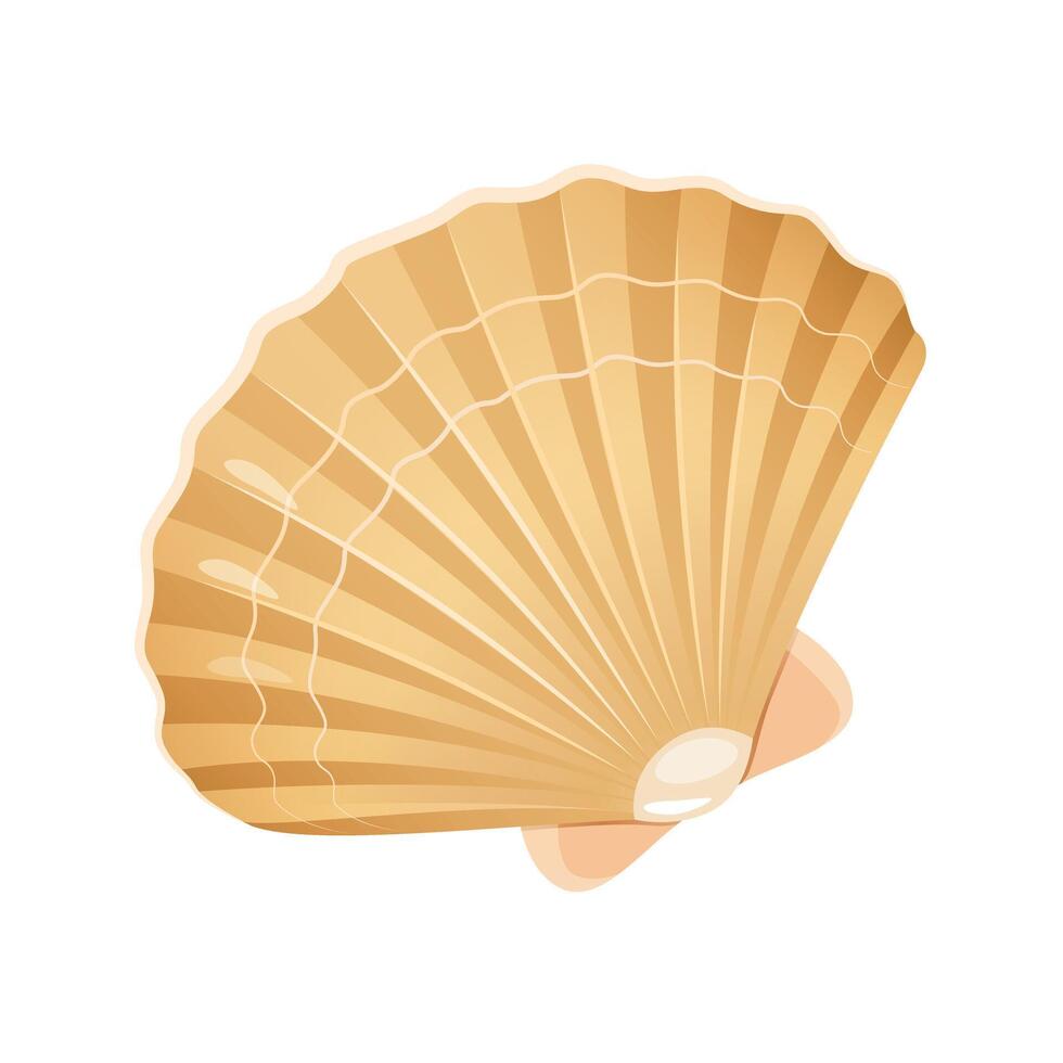cartoon illustration of beach sea shell isolated on white background vector