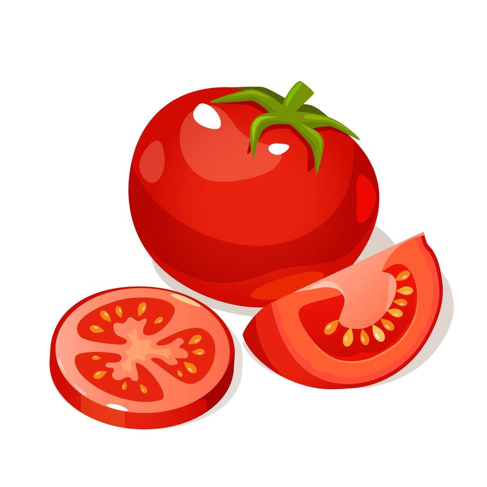 Fresh cartoon farming tomatoes whole, half and sliced vector