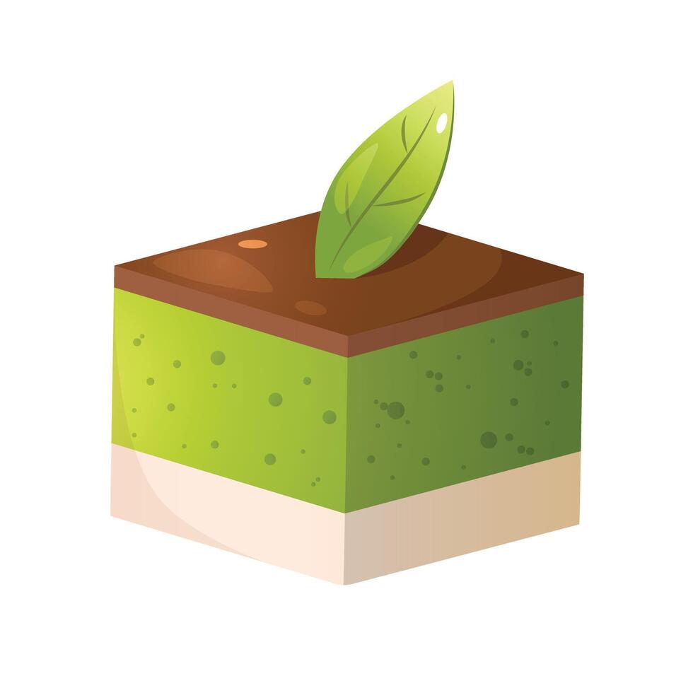 Slice of matcha dessert tiramisu isolated on a white background. vector