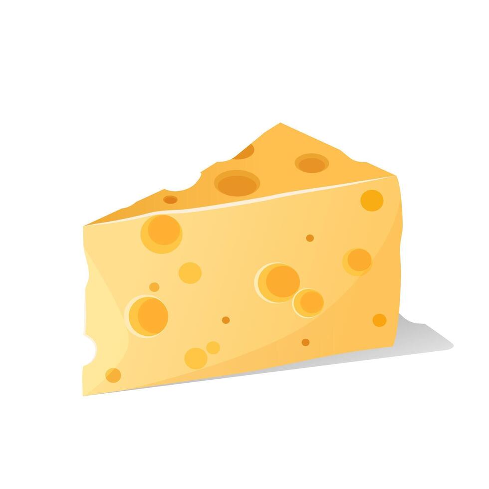 Piece of delicious cheese vector