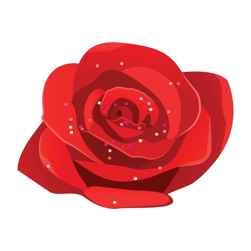 Blooming red rose flower isolated on white background. vector