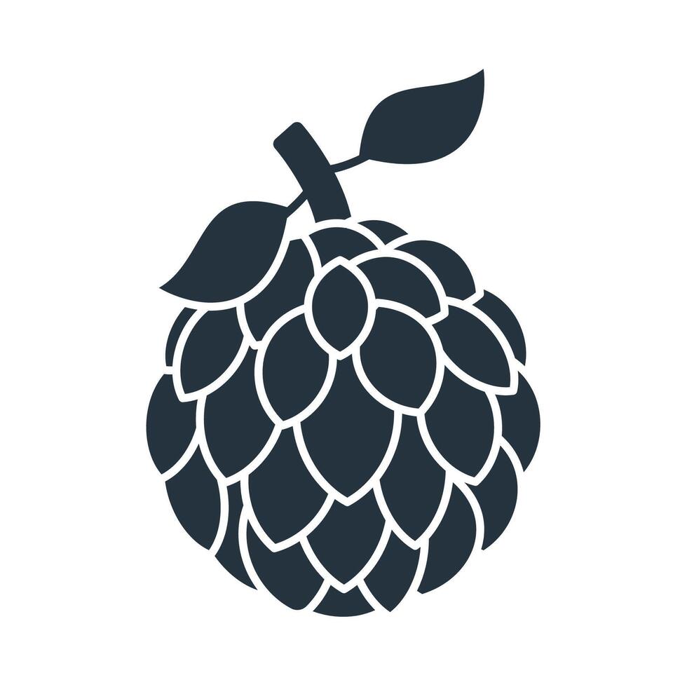 Custard apple icons symb elements for infographic web vector