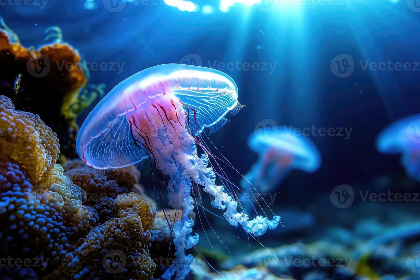 Ocean elegance - mesmerizing view of perfect jellyfish, showcasing its translucent beauty, graceful movements, delicate structure, embodying wonders of marine life in its natural habitat. photo