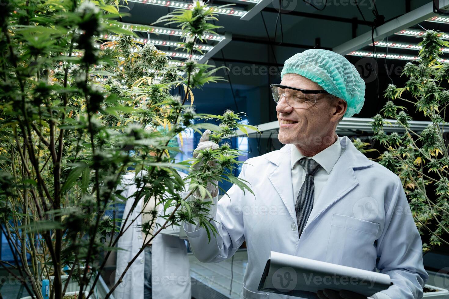 A man in a lab coat is wearing a green hat and smiling. He is holding a clipboard and looking at a plant photo