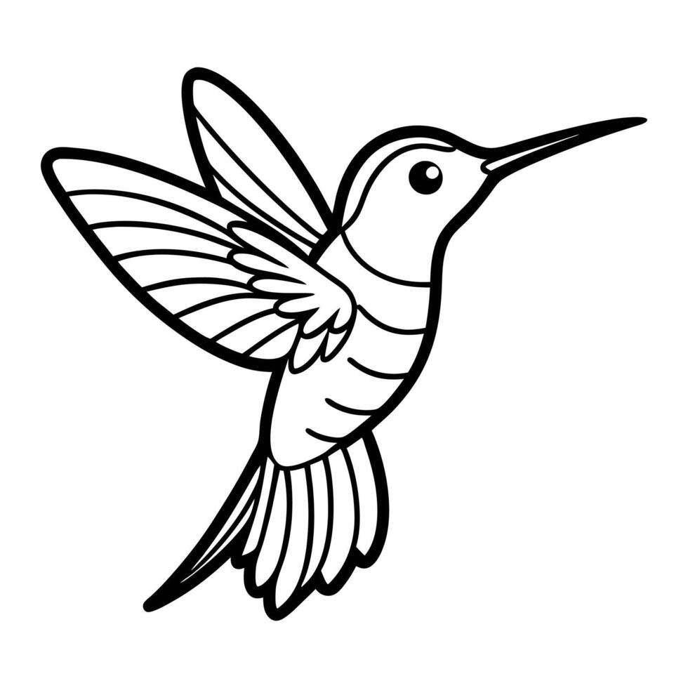 hummingbird coloring pages vector