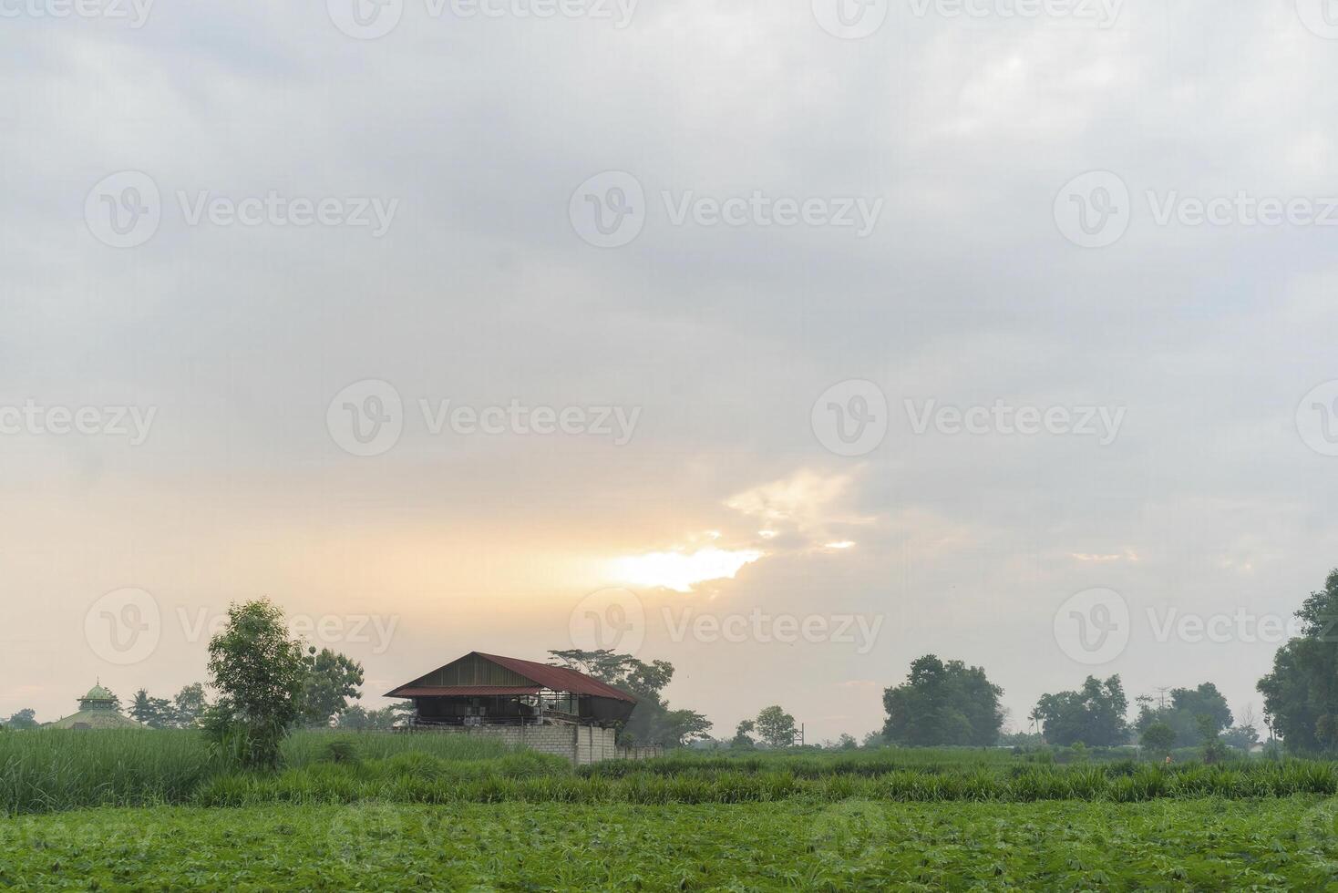 A house in the middle of a field with a cloudy sky photo