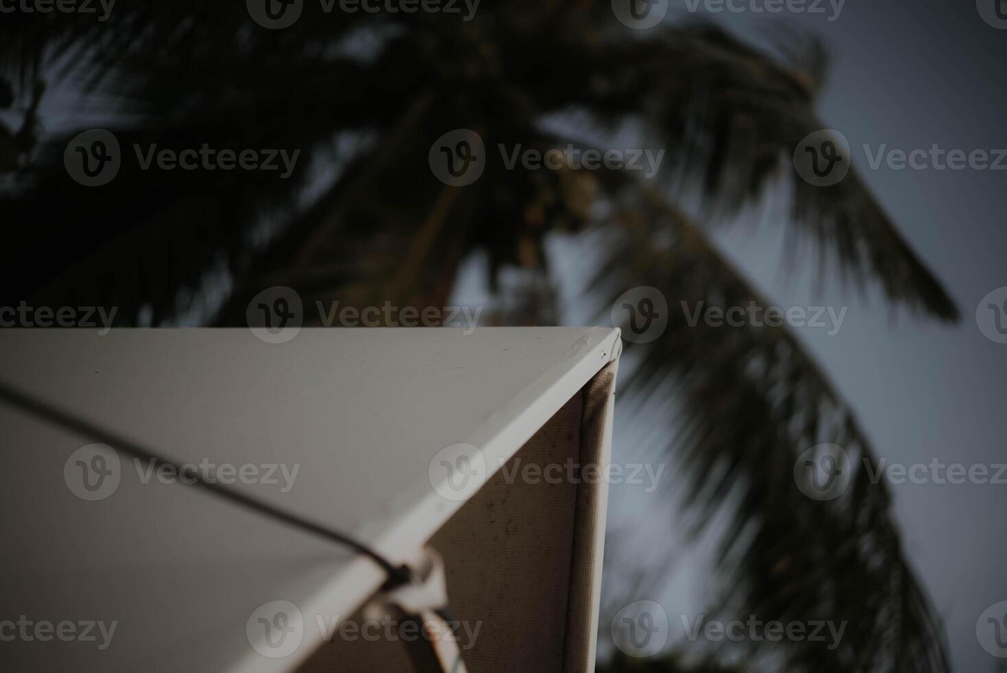 A white tent with a palm tree in the background photo