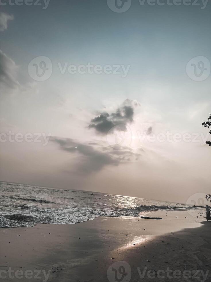 A man is standing on the beach with a tree in the background photo