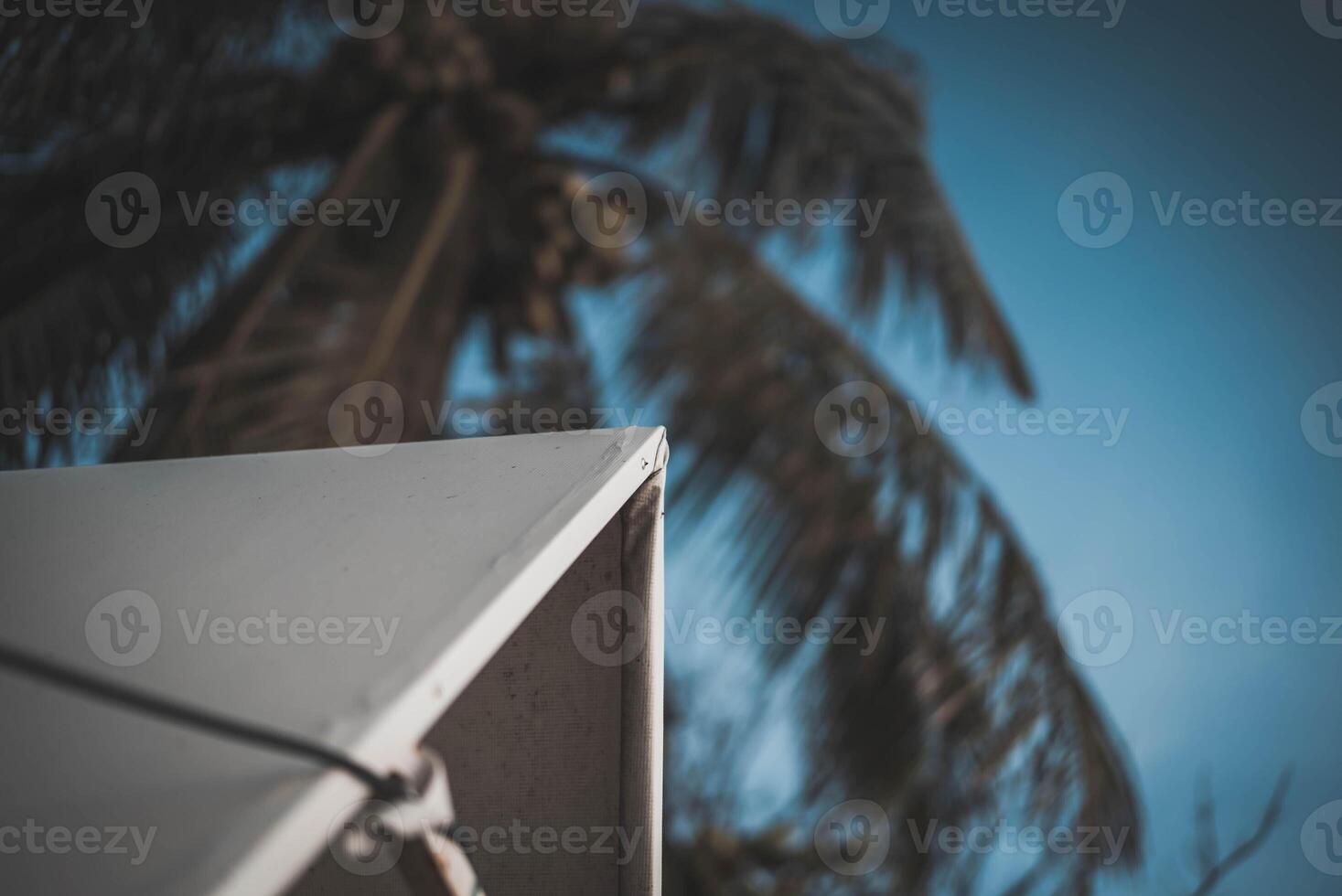 A white tent with a palm tree in the background photo