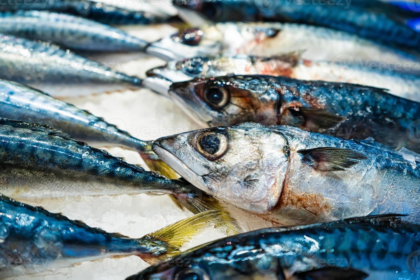 Fresh Fish Laid Out on Ice at Seafood Market photo