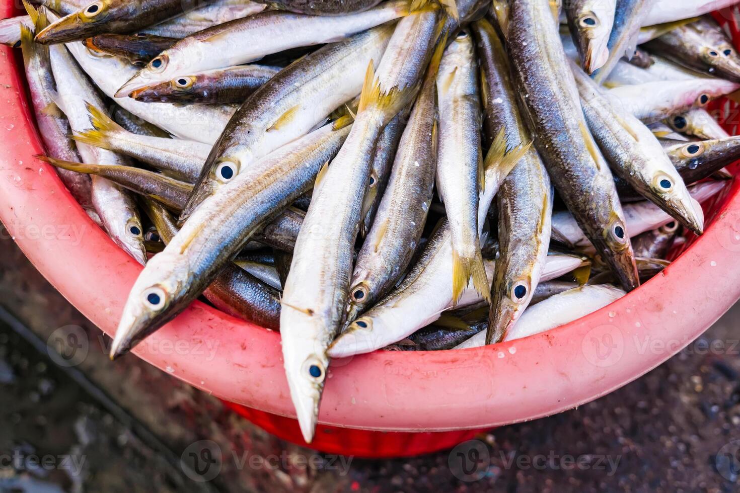 Basket Overflowing with Freshly Harvested Fish Ready for Sale at a Bustling Outdoor Market photo