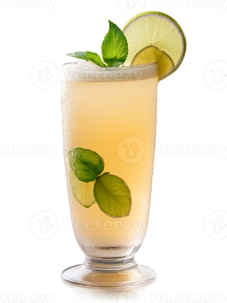 Sri Lankan Ginger Beer in clear glass garnished with slice of lime and sprig png