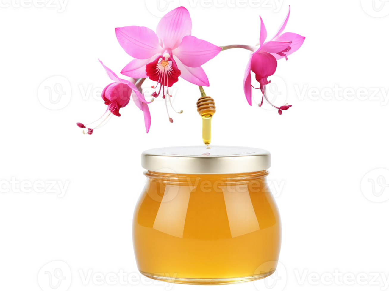 Fuchsia Honey , Fuchsia spp. Light amber honey with a slightly fruity, floral flavor, displayed in a clear jar next png