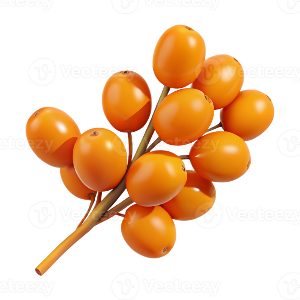 3D Render of Orange Berries on Branch png