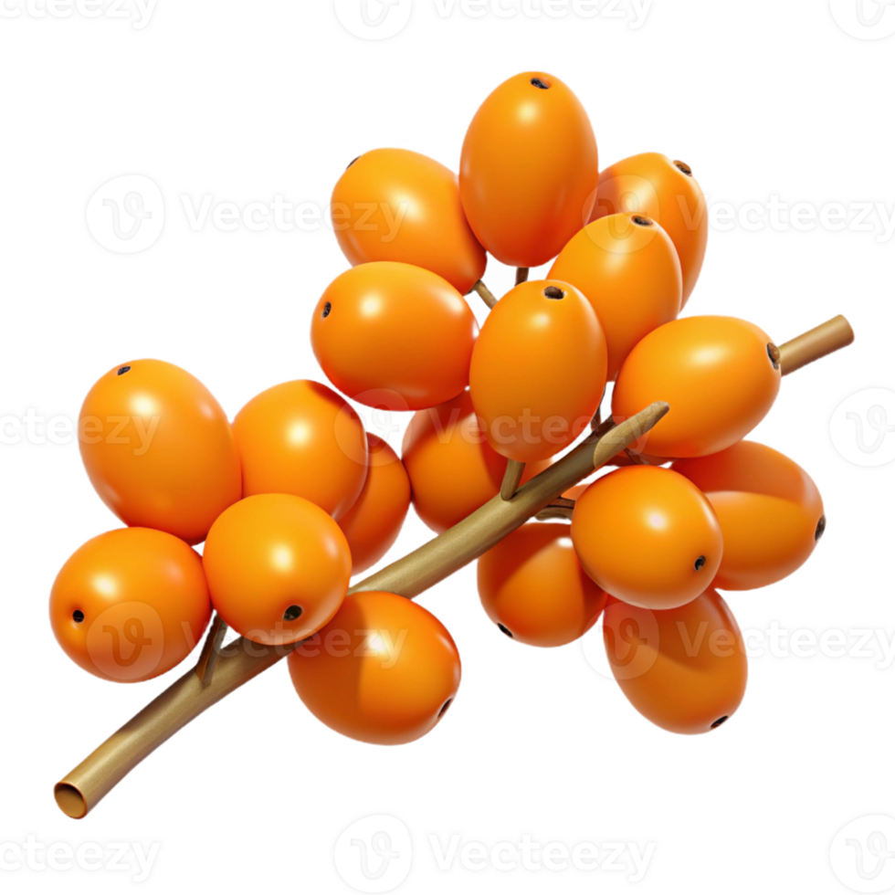 3D Render of Orange Berries on Branch png