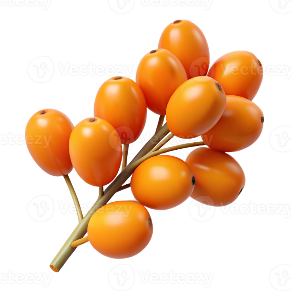 3D Render of Orange Berries on Branch png