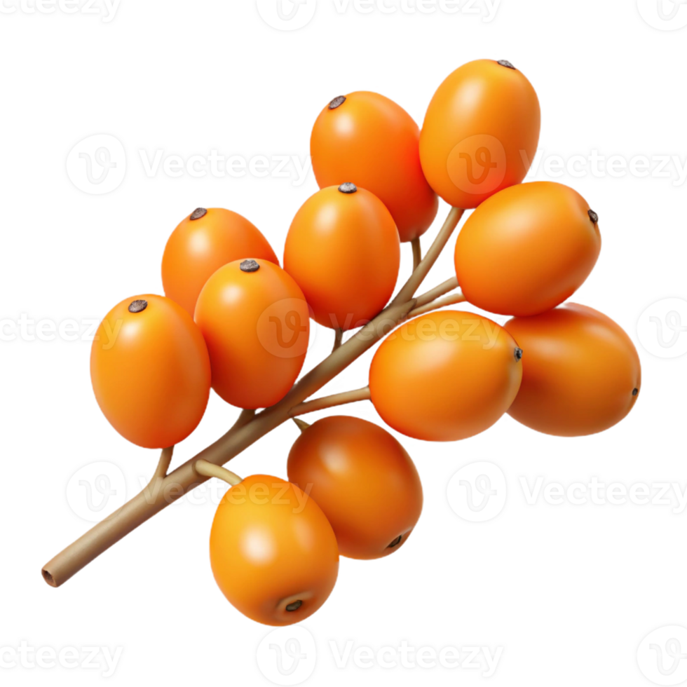 3D Illustration of Orange Berries on Branch png