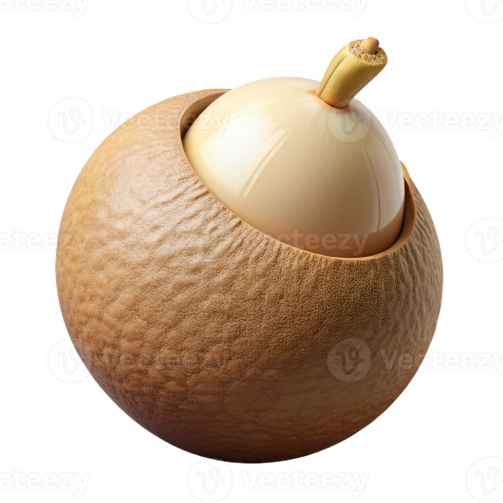 3D Render of a Seed Pod png