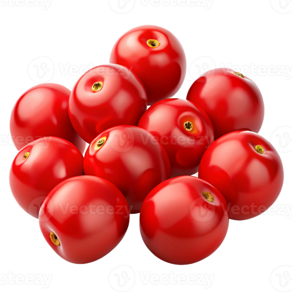 Red Berries 3D Illustration png