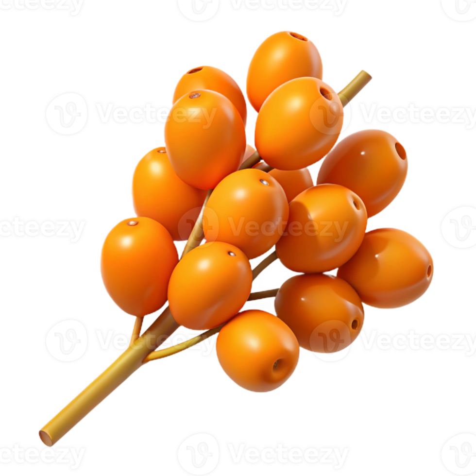3D Render of Orange Berries on Branch png