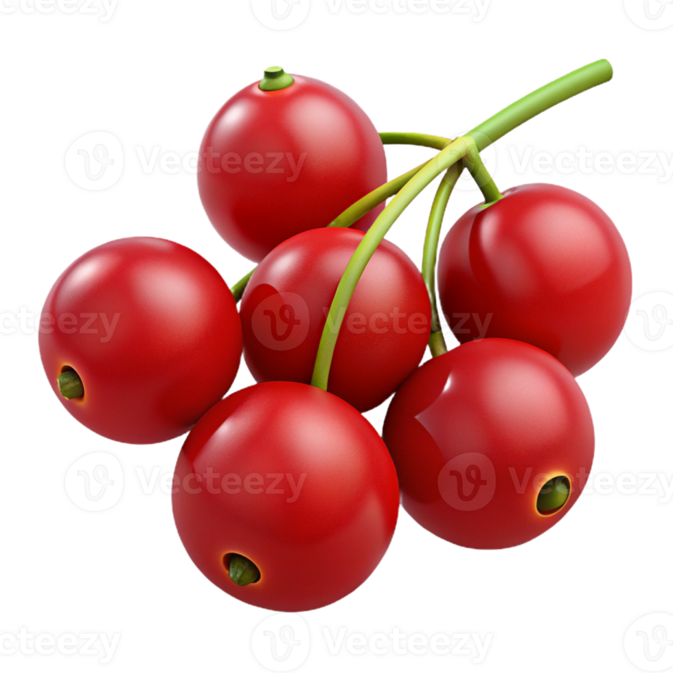 Red Berries 3D Illustration png