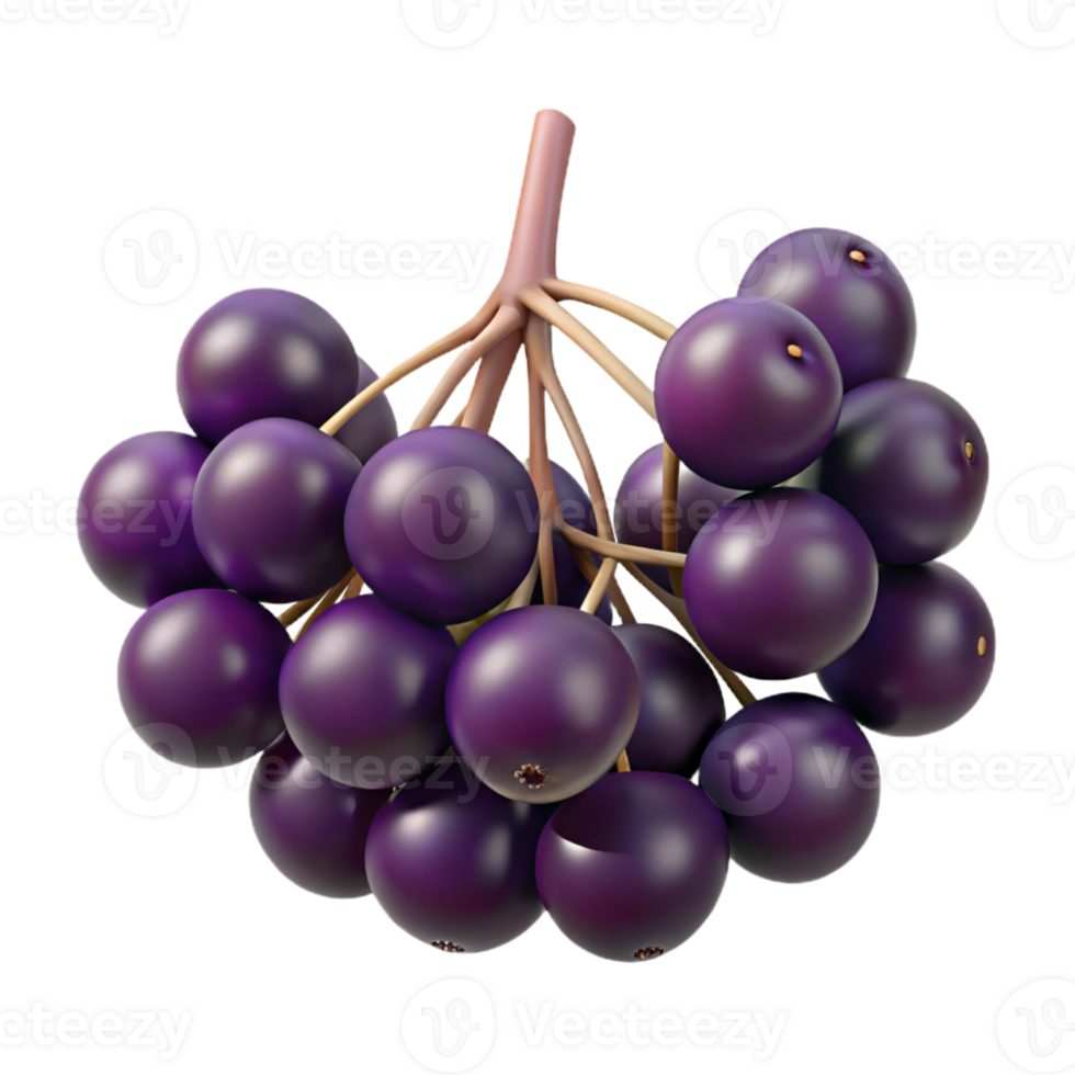 3D Render of Dark Purple Berries Bunch png