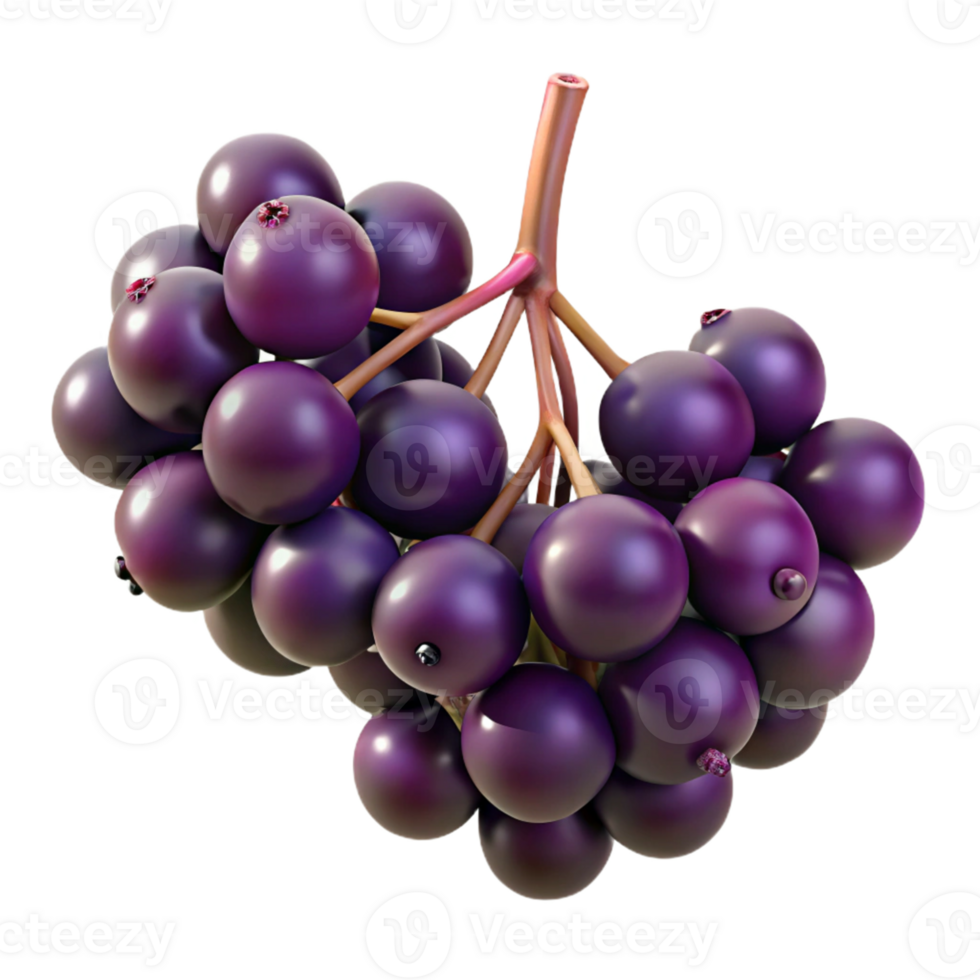 3D Render of Dark Purple Berries Cluster png