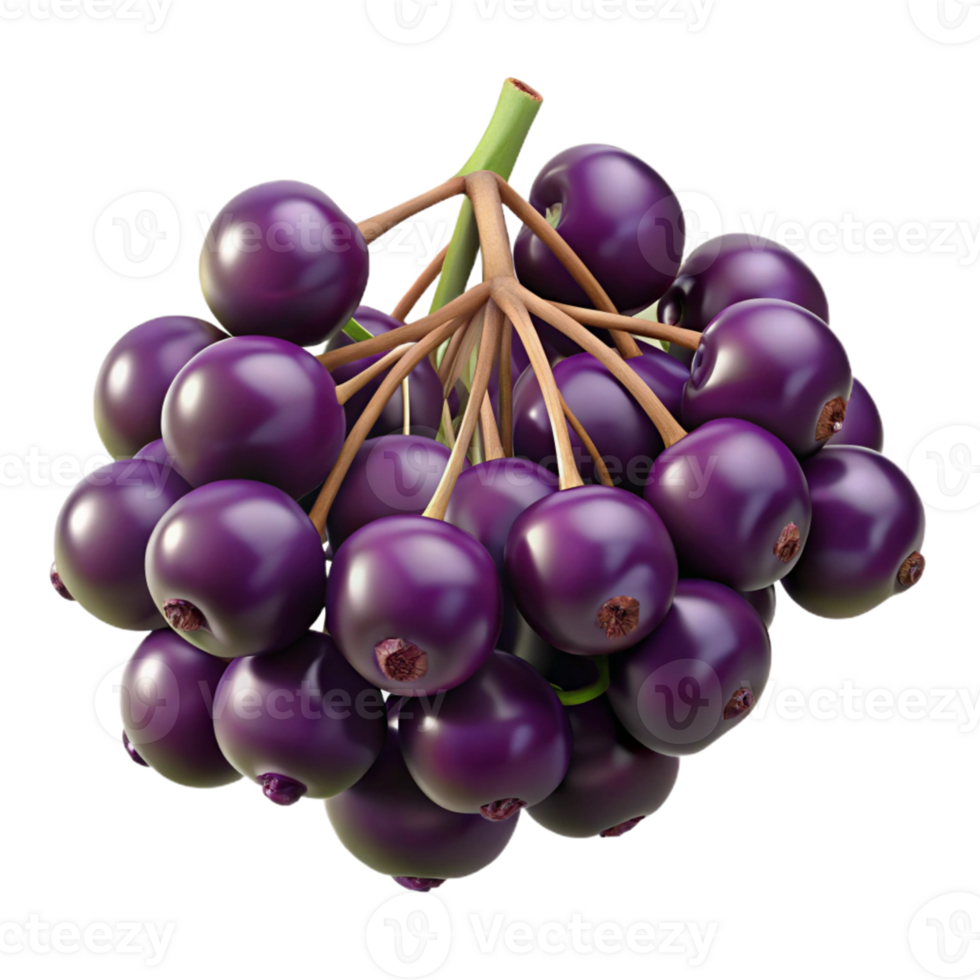 3D Render Dark Purple Berries Bunch png