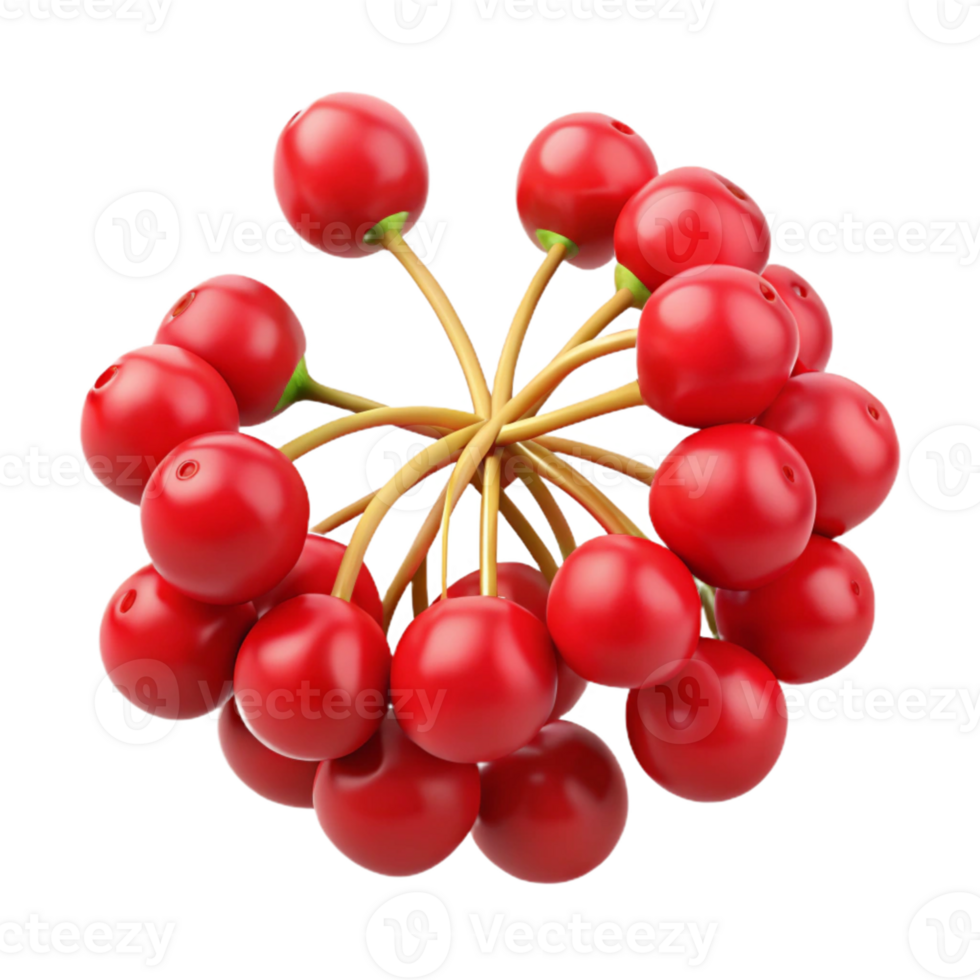 3D Render of Red Berries Cluster png