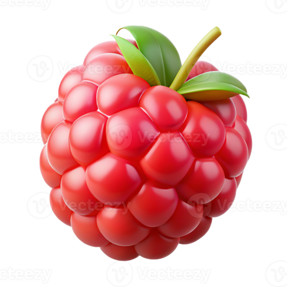 3D Render of a Single Raspberry png