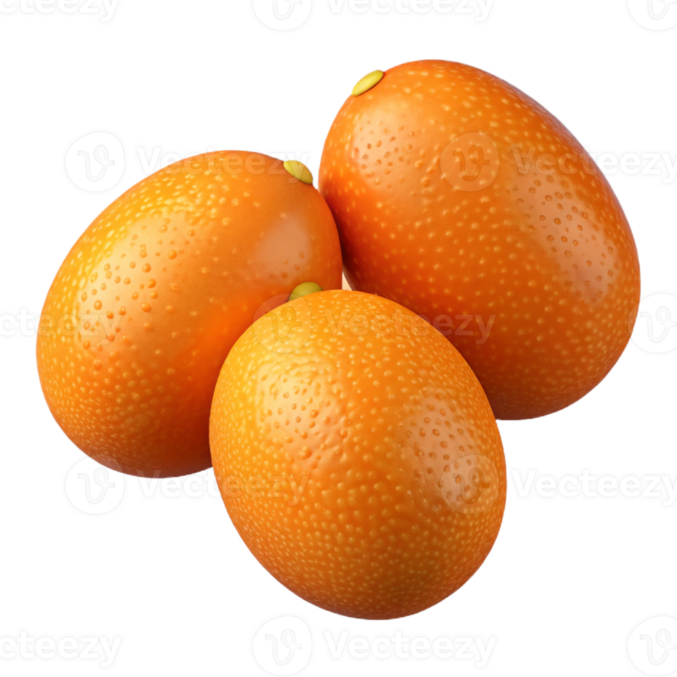 3D Render of Kumquats png