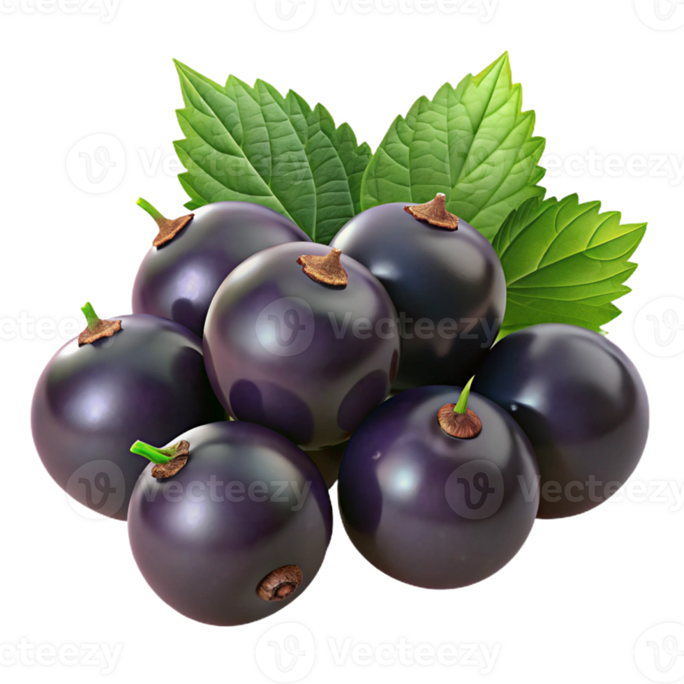 Realistic 3D Render Blackcurrants with Leaves png