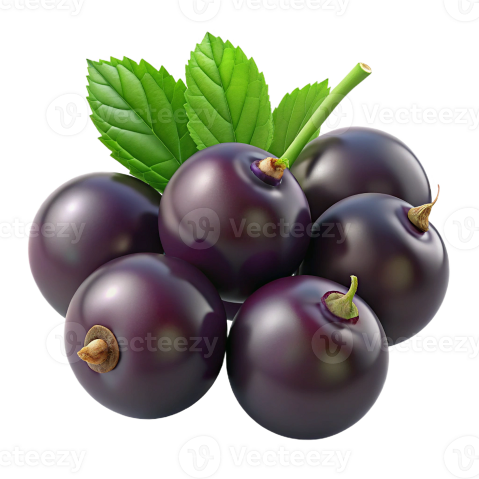3D Render of Black Currants with Leaves png