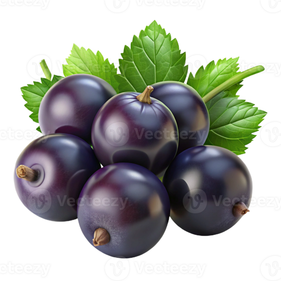 3D Render of Blackcurrants with Leaves png