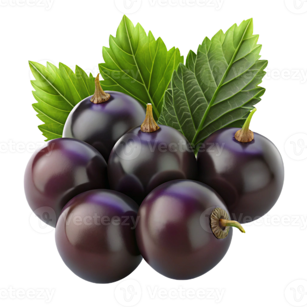 3D Illustration of Blackcurrants with Leaves png